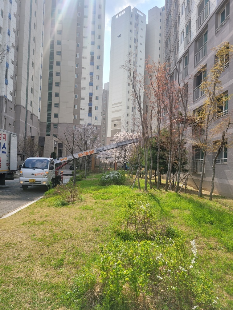 갤러리 사진